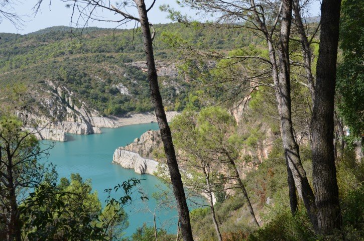 Rafa Dionis